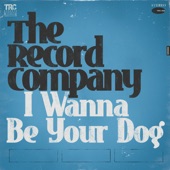The Record Company - I Wanna Be Your Dog