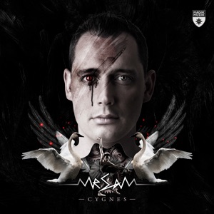 Mr Sam ft. Claud9 - Cygnes (Ronski Speed & DJ T.H. pres. Sun Decade Remix) Artwork