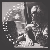 Robyn Hitchcock - Sunday Never Comes