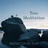 Tree Meditation song lyrics