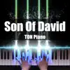 Son of David - Single album lyrics, reviews, download