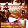 House Loves Disco (20 Irma Top Tracks Selected by Black Mighty Wax), 2013