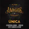 Única (feat. Amigos) - Single album lyrics, reviews, download
