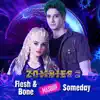 Flesh & Bone/Someday Mashup - Single album lyrics, reviews, download