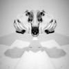 EvgenTHE - Neurofunk Dnb