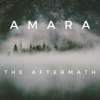 The Aftermath - Single
