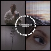 Calling On Me (feat. Tove Lo) [Karim Naas Remix] artwork