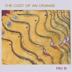 The Cost of an Orange by Rig B album reviews, ratings, credits