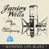 Worried Life Blues - Single album lyrics, reviews, download