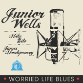 Junior Wells/Mike Zito/James Montgomery - Worried Life Blues