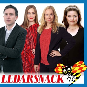 ”Det är en floskel att hela Sverige ska växa”