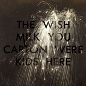 The Milk Carton Kids - Wish You Were Here