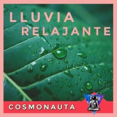 Música Lluvia Relajante artwork