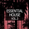 Essential House, Vol. 3, 2015