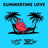 Summertime Love (feat. Digital Farm Animals) artwork