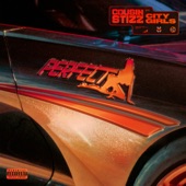 Perfect (feat. City Girls) by Cousin Stizz