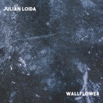 Julian Loida - Shimmer