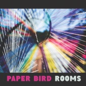 Paper Bird - Blood & Bones
