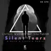 Silent Tears (A-Mase & Frankie Remix) [feat. Irina Makosh] - Single album lyrics, reviews, download
