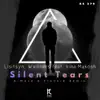 Stream & download Silent Tears (A-Mase & Frankie Remix) [feat. Irina Makosh] - Single