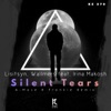 Silent Tears (A-Mase & Frankie Remix) [feat. Irina Makosh] - Single