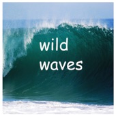 Wild Waves artwork