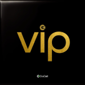 VIP - Various Artists