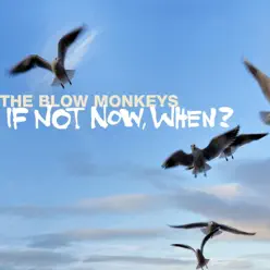 If Not Now When - The Blow Monkeys If Not Now When - The Blow Monkeys