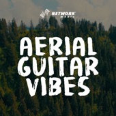 Aerial Guitar Vibes artwork