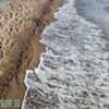 Surf 10 - Single