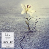 Lily by ラックライフ