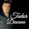 Boala - Tudor Diaconu lyrics