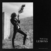 Nick Leng - Lemons