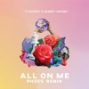 All on Me (PHZES Remix) - Single