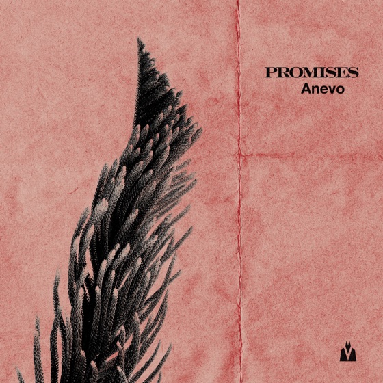 Cover artwork for Promises