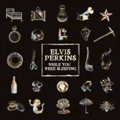 Elvis Perkins - While You Were Sleeping