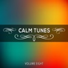 Calm Tunes, Vol. 8, 2015