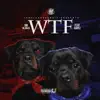 Wtf (feat. Rahli) - Single album lyrics, reviews, download