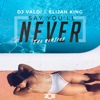 Say You'll Never (REMIXES) - Single