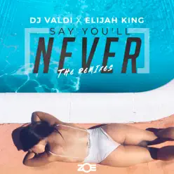 Say You'll Never (REMIXES) - Single - Dj Valdi Say You'll Never (REMIXES) - Single - Dj Valdi
