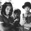 Ziggy Marley & The Melody Makers