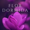 Flor Dormida, 2019