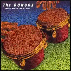 Drums Along the Hudson - The Bongos Drums Along the Hudson - The Bongos