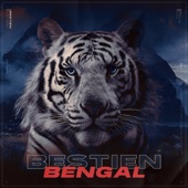 Bengal artwork