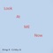 Look at Me Now (feat. Critty G) - King K lyrics
