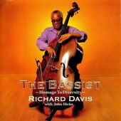 The Bassist: Homage to Diversity artwork
