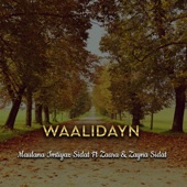 Waalidayn (feat. Zaara & Zayna Sidat) artwork