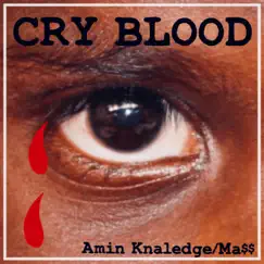 Cry Blood (feat. Ma$$) - Single by Amin Knaledge album reviews, ratings, credits