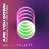 Are You Down (feat. Troy Denari) - Single, 2020