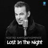 Lost in the Night - Single